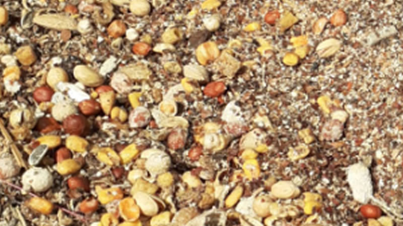 destrucción de productos vencidos